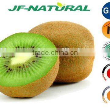 Natural Kiwi Juice Powder ISO, GMP, HACCP, KOSHER, HALAL Certificated photo-2