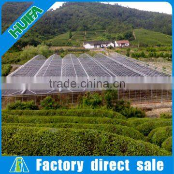 Large Multi-span Agricultural Greenhouse for Sale photo-3