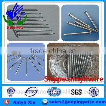 high carbon iron wire nails ,common nail polished iron nails factory in Hebei