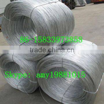 BWG8-BWG22 Electro Galvanized Iron binding Wire 25kg-50kg/roll building materials