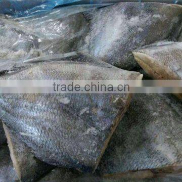 Frozen Seafood BLACK POMFRET OR BRAMA FILLET Frozen Fish photo-2