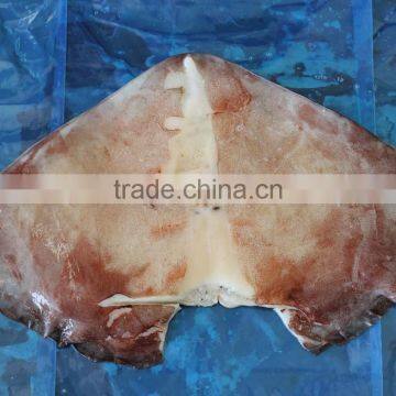 Natural Good Quality and Best Price Frozen Giant Peru Squid Wing photo-2