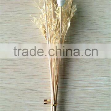 aroma natural rattan stick for reed diffuser