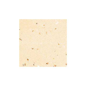 SS5885 Shell White