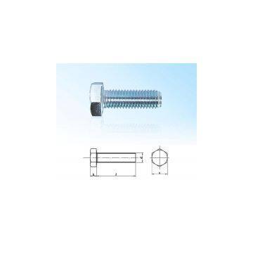 Hexagonal Head Bolt DIN558