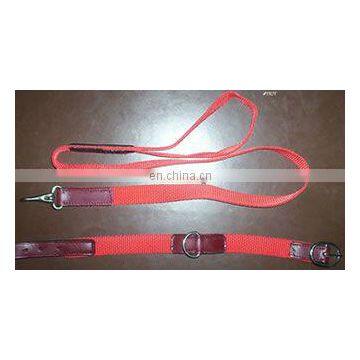 Nylon Dog Collars