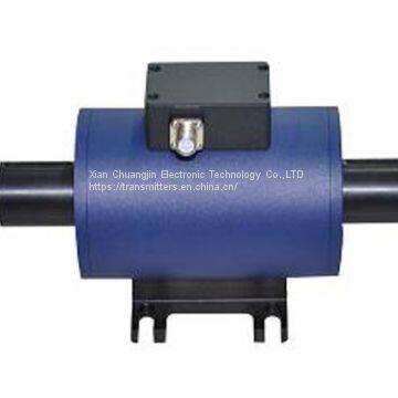 Dynamic Torque Sensor