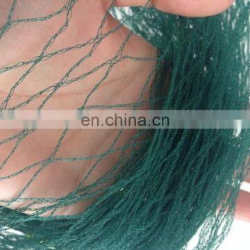 Protect Bird Netting/bird Nets for Sale/mist Nylon Bird Net photo-2