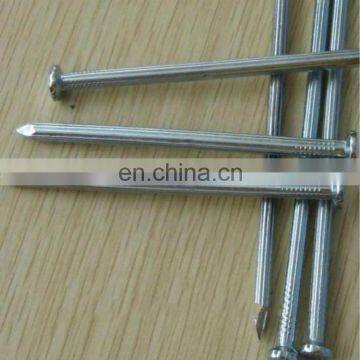 Roofing galvanized sale common nails stainless steel round nail