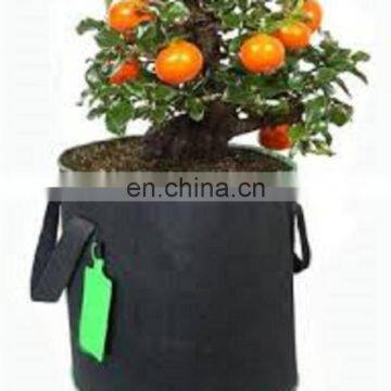 Colorful Round Felt Grow Bag photo-4