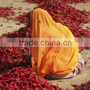 RED CHILLIES