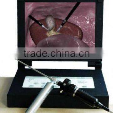 Portable Endoscopy Camera (Wireless) --Model name:480A--