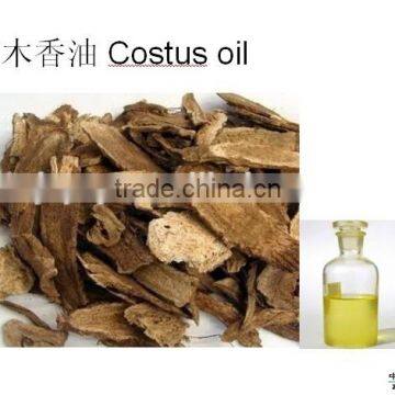 manufacturer supply costus oil cultivatded with the best quality