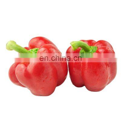 healthy vegetable rich in vitamin frozen red chili with good quality and moderate price in China