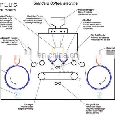 Sinoped Softgel Encapsulation Filling and Packing Machine Mass Production Equipment Suitable for Customer With Different photo-2