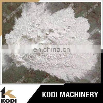KODI CE ISO LPG 10 Model Coconut Milk Powder Spray Dryer