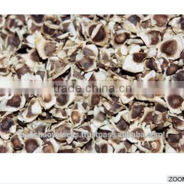 Moringa Oleifera seeds