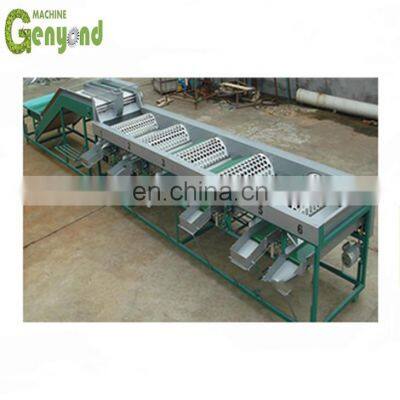 high productivity fruit nuclear gravity selector stoning machine