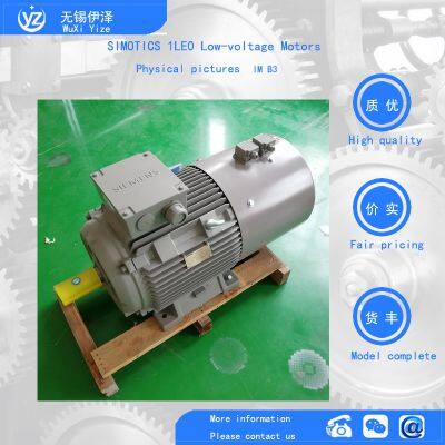 Siemens Motors of the 1LE0 Series Produced in China