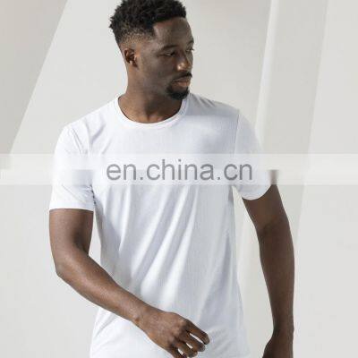 2023 New Wholesale Ice Silk Lightweight Gym Fitness Shirt Top Quick Dry Stripe Print Slim Fit Workout Sports T-Shirt For Men photo-3