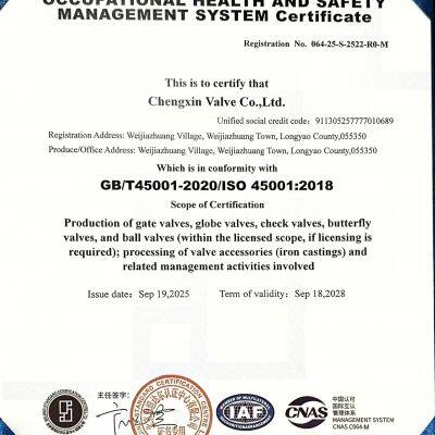 ISO 45001