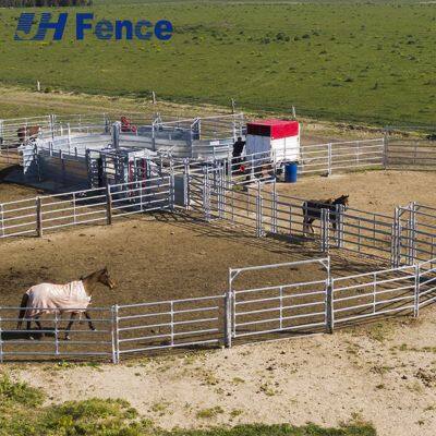 Arena & Stall Horse Panel: Versatile Solid Wall System for Secure Enclosures, Wash Racks, and Perimeter Fencing