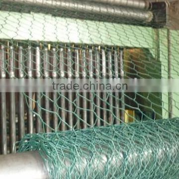 BWG21 Hexagonal Wire Netting