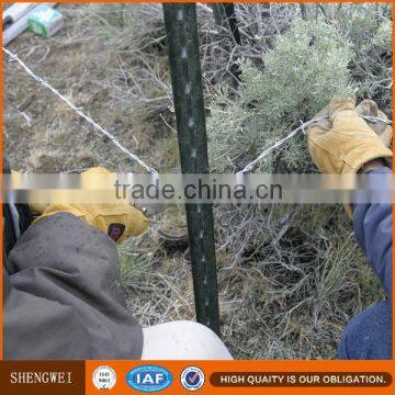 Green Paint Steel Studded t Post for USA Market photo-3