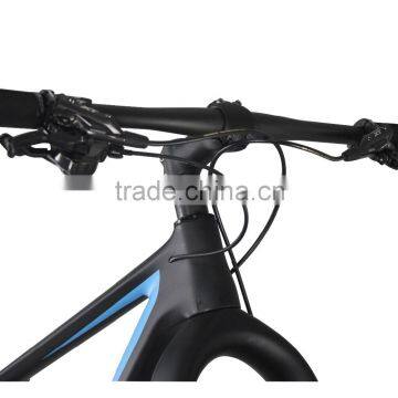 2016 Popular New Blue Painting Carbon Fat Bike Complete Fatbike Carbon Bikes 26x4.0 Tire Shima XT M8000 Groupset photo-2