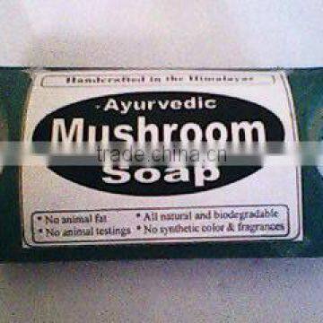 Mushroom Soap