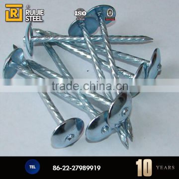 wholesale nail supplies,china roofing nail/Galvanized umbrella head roofing Nails