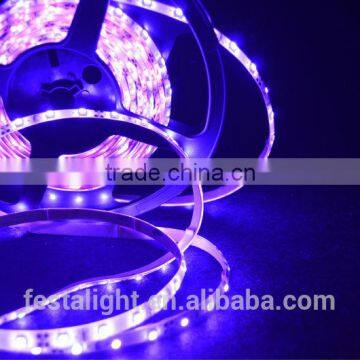 2016 China Supplier Hot Sale Product 5050 3528 OUTDOOR LIGHTS LED STRIP LIGHT photo-4