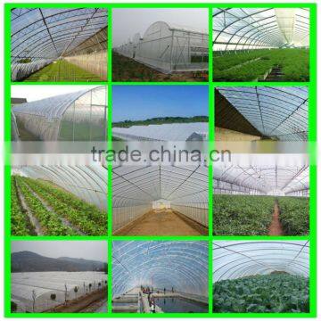 Suntex Hot Sale Virgin PE Protective Insect Resistance Anti Penetration Film photo-3