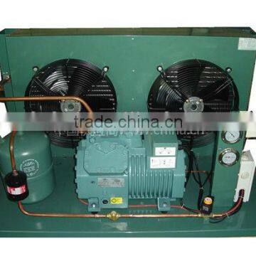 Bizter Compressor Low noise Air Cooled Condensing Unit for Cold room