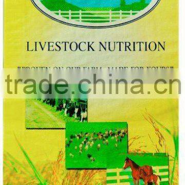 pp Woven Rice Bag, Woven Shopping Bag, pp Woven Bag Manufacturers Vietnam photo-2