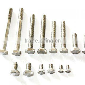 DIN standard SS304 Stainless steel screw