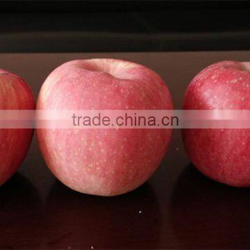 2015 New Year Fresh Fuji Apple Biggest Exporter Chinese Fresh Fruit Red Apple Fuji