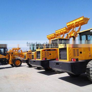 Cheap Price Chinese Famous Skip Loader for Sale photo-3