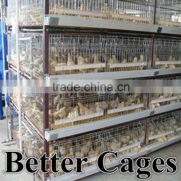 New design BT Factory hot-sale H type broiler chicken coops for sale(Factory price)