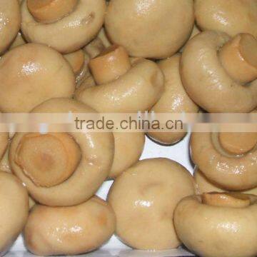 Chinese Canned Mushroom Factory in Tins 2500g,2840g