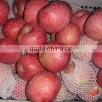 Fresh Qinguan apple