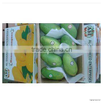 Fresh Mango (Processed / Washed) photo-4