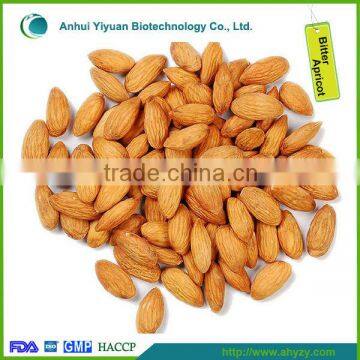 China medicine bitter apricot for sale all overl the world