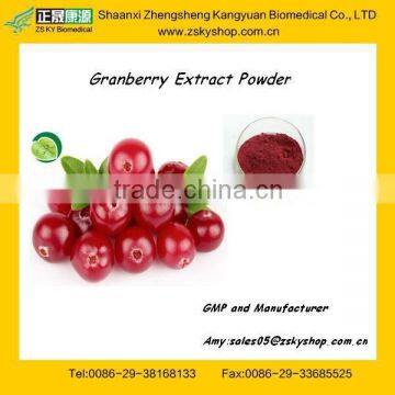 100% Pure Cranberry Extract Supplier With GMP Certificated