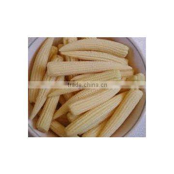 Best selling Vietnam high quality IQF Frozen Baby Corn