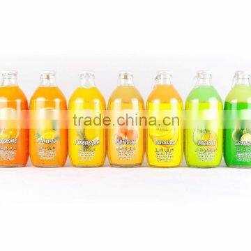 Fruit Flavored Drink 320 ML photo-2