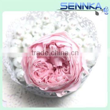 Colorful Preserved Fresh Austin Rose Head Size 4-5cm for Wedding Bouquet