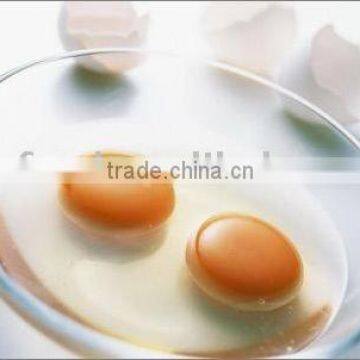 dried egg powder