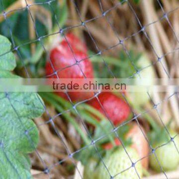 PEA AND BEAN NETTING