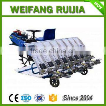 Diesel Oil 8 Rows 238mm Battery Type Rice Transplanter With Good Rice Transplanter Price and Hydraulic Device photo-3